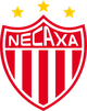 内卡萨logo