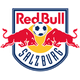 萨尔茨堡红牛logo